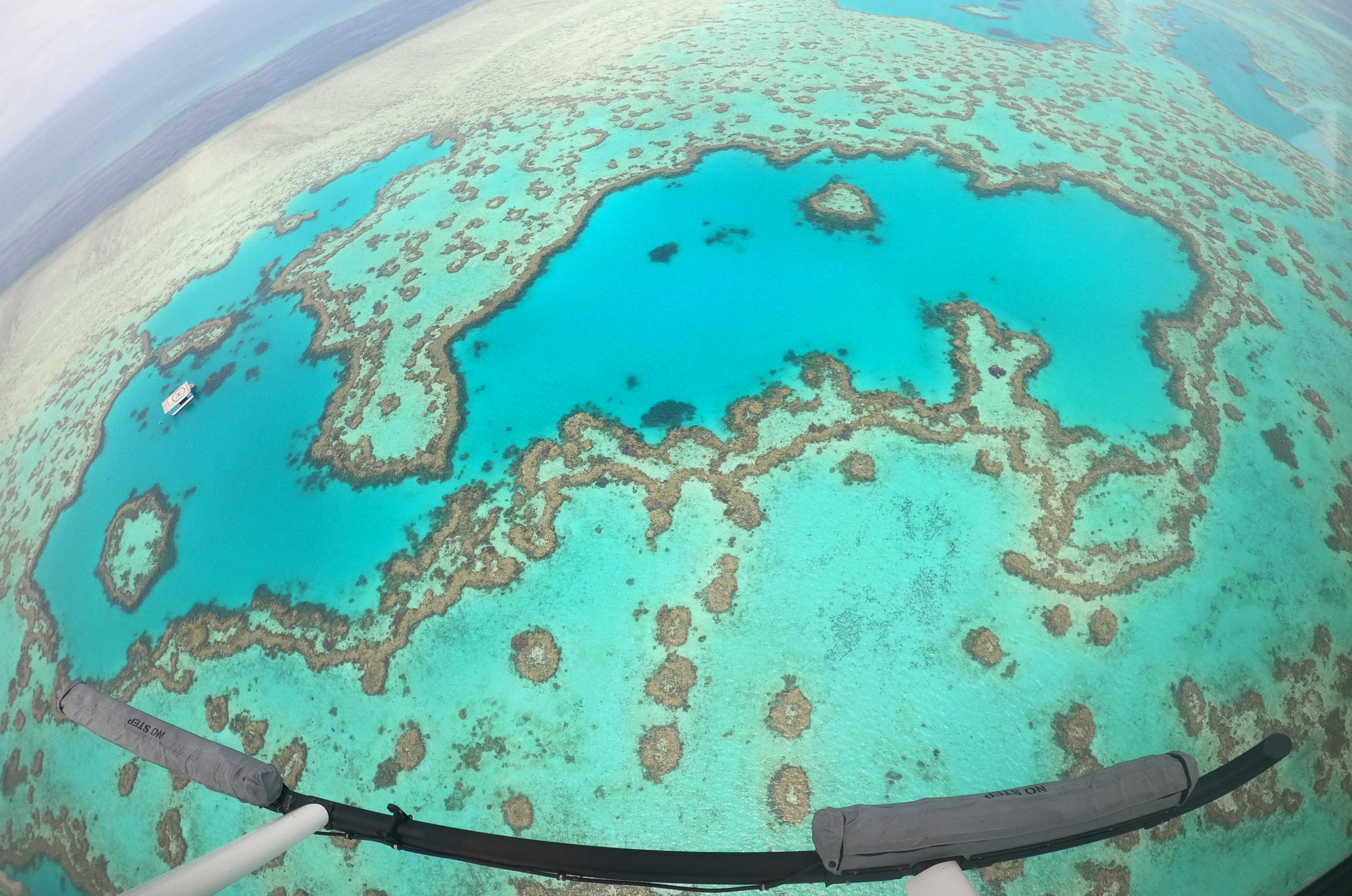 GREAT BARRIER REEF